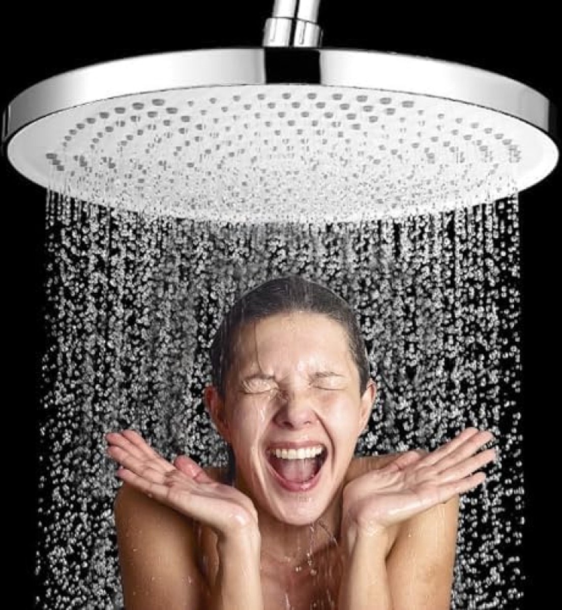 De Hoofddouche Regendouche 10 Inch Zilver in één oogopslag