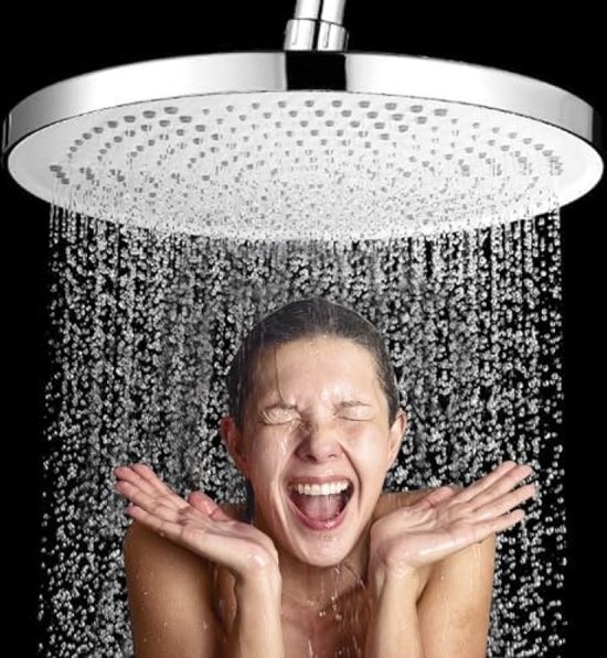 Hoofddouche Regendouche 10 Inch Zilver review