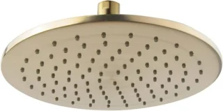 Hoofddouche regendouche geborsteld messing Ø25 cm