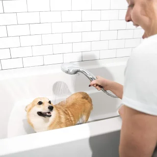 Luxe Handdouche