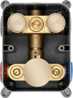 Rea Lungo Regendouche Inbouw Goud 36,5 cm