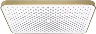 Rea rechthoekige regendouche Js-032 brushed gold 21 x 38 cm