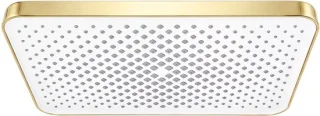 Rea rechthoekige regendouche Js-032 gold