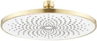 Rea ronde douchekop Js-021 gold brush