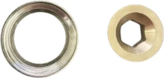 REA Verlenging Douchestang 30 cm Glans Goud