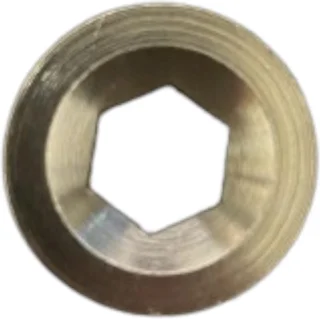 REA Verlenging Douchestang 30 cm Glans Goud