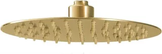 Regendouche hoofd rond 25 cm geborsteld goud