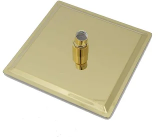 Regendouche hoofd vierkant 20 cm goudkleurig