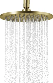 Regendouche hoofddouche Geborsteld goud 20,3 cm