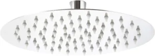 Regendouche ronde douchekop 25 cm zilverkleurig