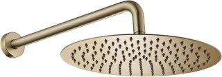 Regendouchekop met arm 10 inch rond geborsteld goud