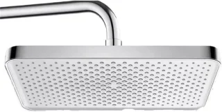 Regendouchekop paneel 30 cm zilver