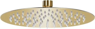 Regendouchekop rvs 20 cm zilver