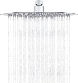 Regendouchekop RVS 25 cm chroom