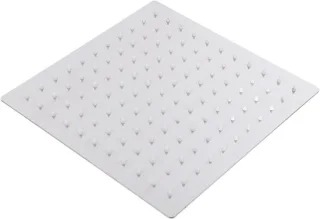 Regendouchekop rvs 25 x 1 cm zilver