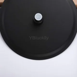 Ronde Regendouchekop 12 Inch Mat Zwart