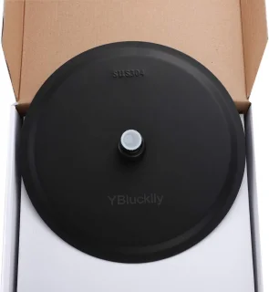 Ronde Regendouchekop 12 Inch Mat Zwart