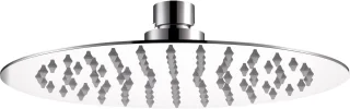 Ronde Regendouchekop 20 cm RVS