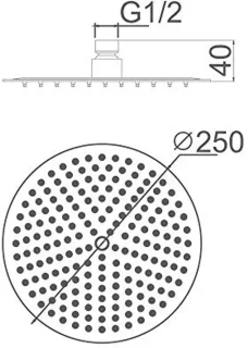 RVS Douchesproeier Rond 25 cm