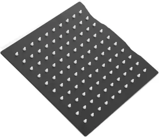 RVS Regendouchekop 8 inch Zwart
