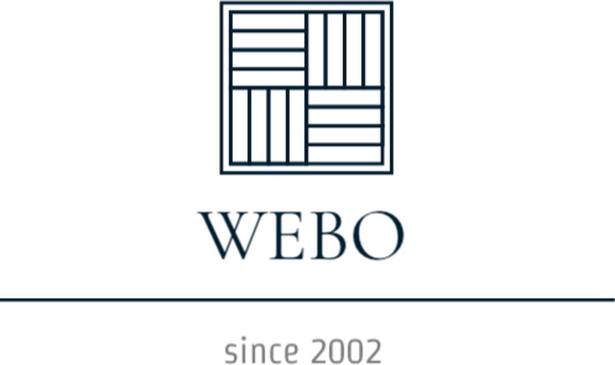 Wat vinden we goed aan de WEBO Atlanta inbouw regendoucheset RVS 25cm compleet