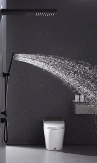 WEBO Luxe Regendoucheset Inbouw Mat Zwart 25cm
