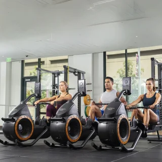 Octane Fitness Ro Max Roeitrainer