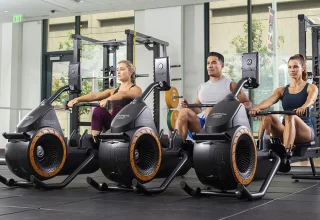 Octane Fitness Ro Max Roeitrainer