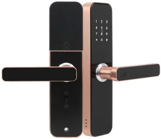 Aladdien keyless entry smart door lock