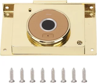 Biometrisch kast- en ladeslot