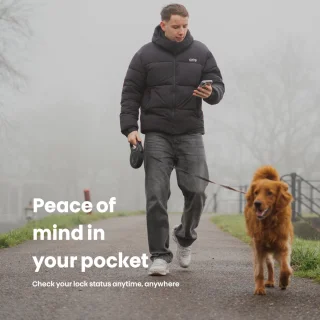 Bold Elite SX-35 Slim Deurslot RVS Zilver