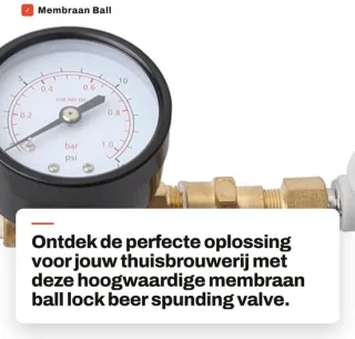 Dailygoods Drukontlastklep verstelbaar 0-15 PSI