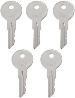 Dailygoods ontsteking master sleutels 5 stuks heftrucksleutel
