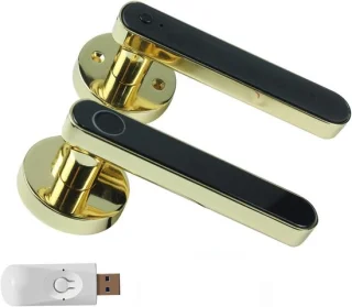 Digitaal Deurslot Slimme Deurklink 35-55 mm Goud