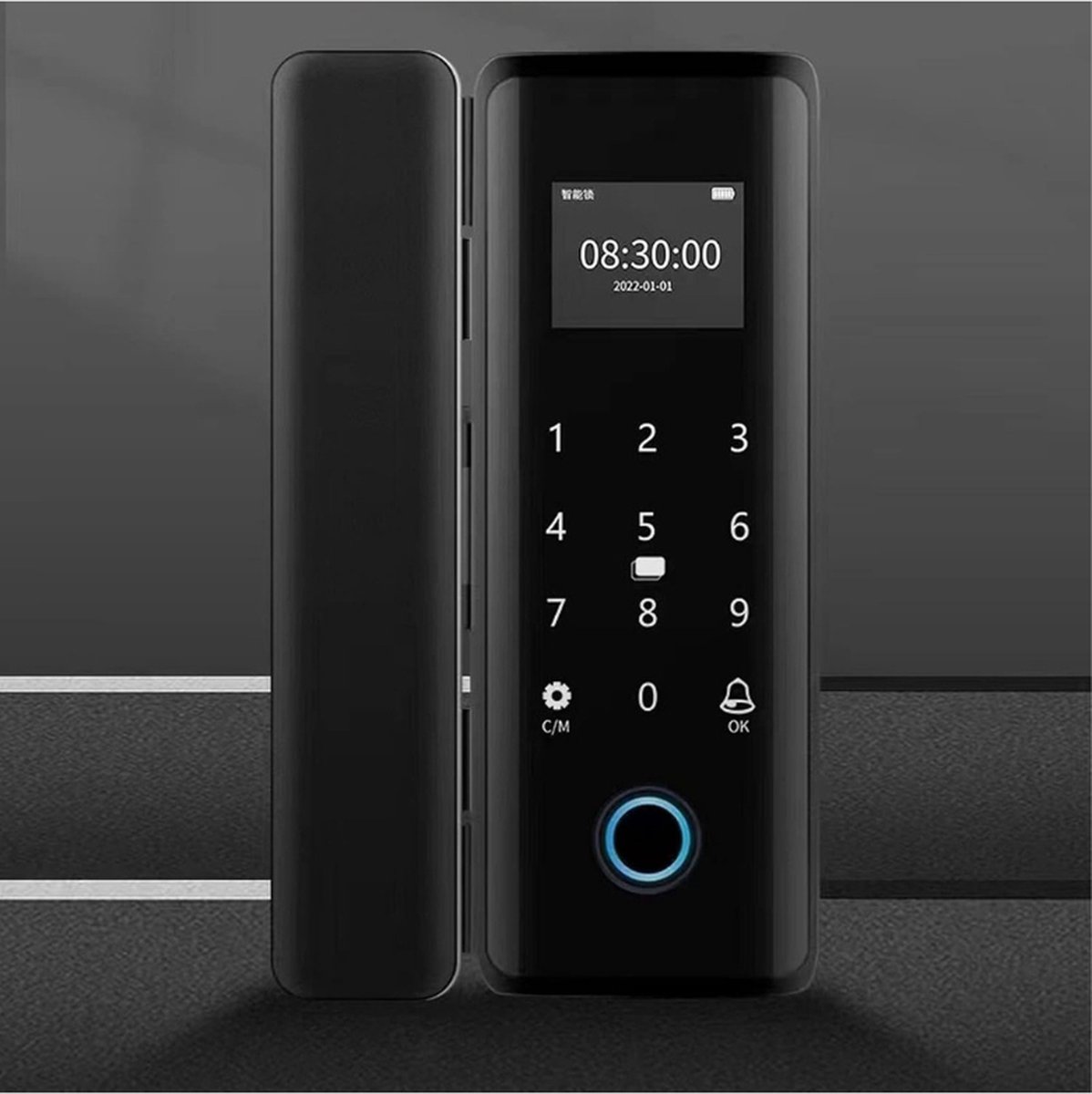 Digitale Vingerafdruk Deurslot Keyless Entry Biometrisch Slot