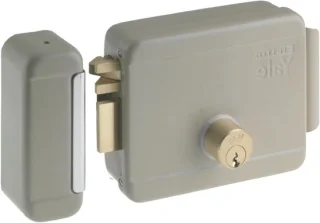 Elektrisch insteekslot 40-80 mm verzinkt