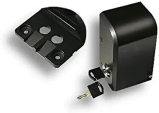 Elektrisch poortslot 24V zwart