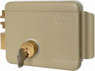 Elektrisch Poortslot Staal