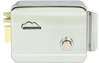 Elektrische velgvergrendeling 12V Rechts RVS