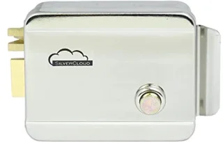 Elektrische velgvergrendeling 12V Rechts RVS