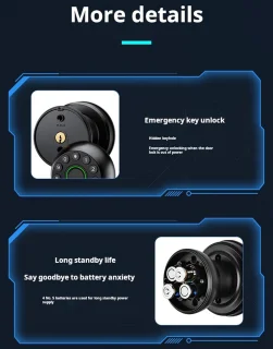 Elektronisch Deurslot Zwart