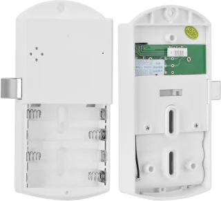 Elektronisch kastslot