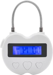 Elektronisch tijdslot