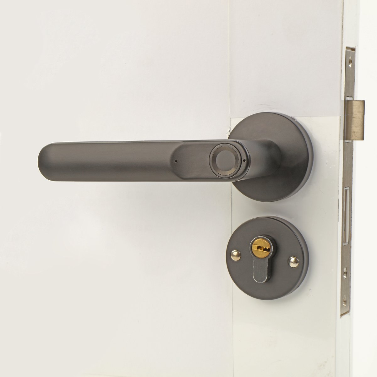 Wat vinden we goed aan de Fingerprint Smart Door Lock Zinc Die-Casting Handle Bluetooth Biometric Keyless