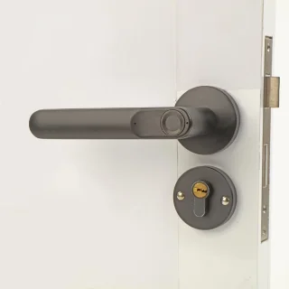 Fingerprint Smart Door Lock Zinc Die-Casting Handle Bluetooth Biometric Keyless