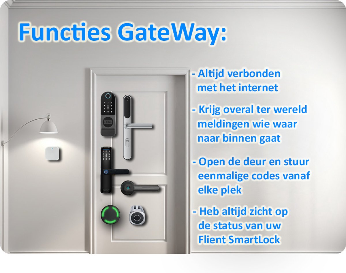 Flient GateWay WiFi & Bluetooth Wit