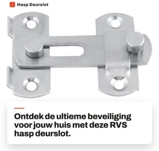 Hasp veiligheidsbeugel roestvrij staal