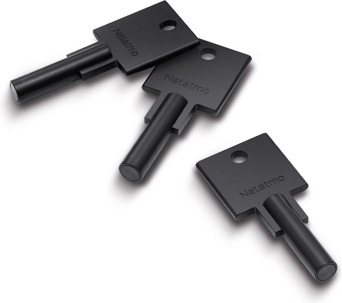 Netatmo Elektrisch Deurslot Silver - 3 NFC Sleutels