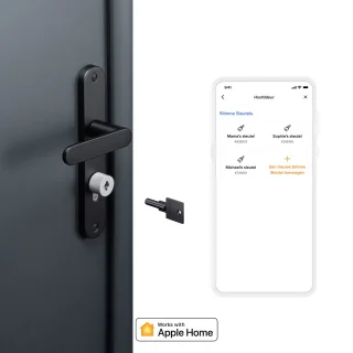 Netatmo Elektrisch Deurslot Silver - 3 NFC Sleutels