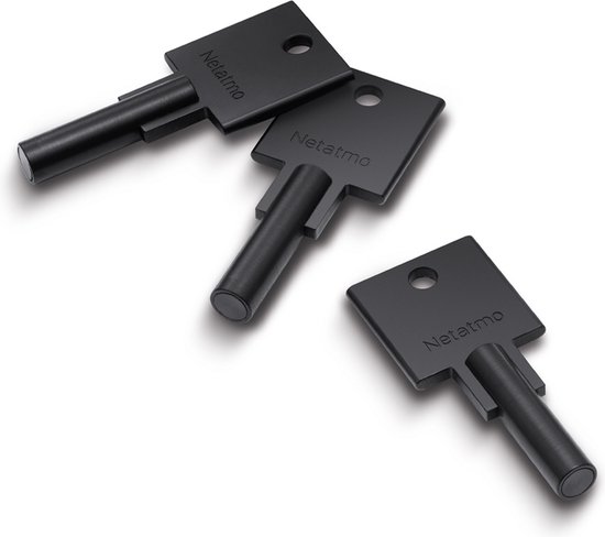 Netatmo Elektrisch Deurslot Silver - 3 NFC Sleutels